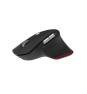 Acer Easy Fit Mouse​ - Retail pack ratón mano derecha RF Wireless + Bluetooth 4000 DPI