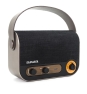 Aiwa RBTU-600 altavoz portátil o de fiesta Altavoz monofónico portátil Beige, Negro 5 W