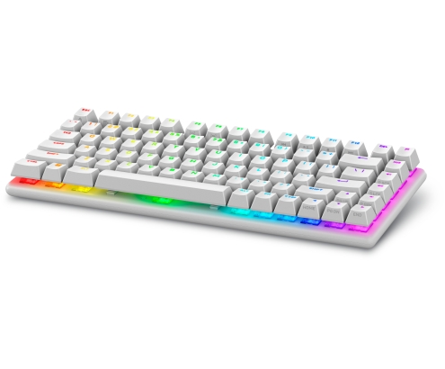 Alienware Pro Wireless Gaming Keyboard teclado Juego USB + RF Wireless + Bluetooth Blanco