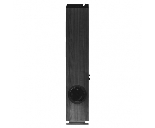 ALTAVOZ TORRE ENERGY SYSTEM TOWER 7 INALAMBRICA BT 5.0 FM IN-LUCES LED NEGRO 445066