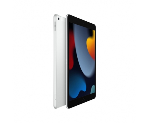 Apple iPad 4G LTE 256 GB 25,9 cm (10.2