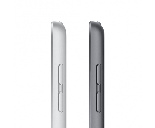 Apple iPad 4G LTE Tablet apple a13/3gb/256gb/10.2p/iPadOS 15/gris 