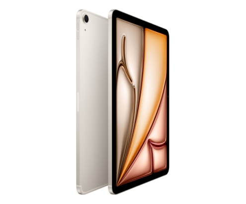 Apple iPad Air 2025 WiFi + Cellular 11