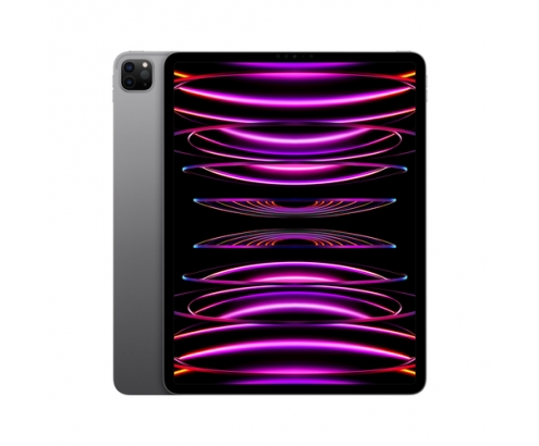 Apple iPad Pro 256 GB 32,8 cm (12.9