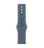 Apple MFGE4ZM/A Accesorios para dispositivos vestibles inteligentes Grupo de rock Azul Fluoroelastómero