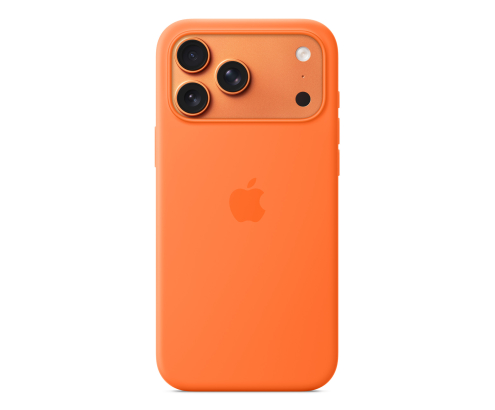 Apple MGFL4ZM/A funda para teléfono móvil 17,5 cm (6.9