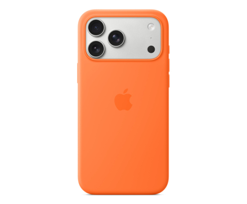 Apple MGFL4ZM/A funda para teléfono móvil 17,5 cm (6.9