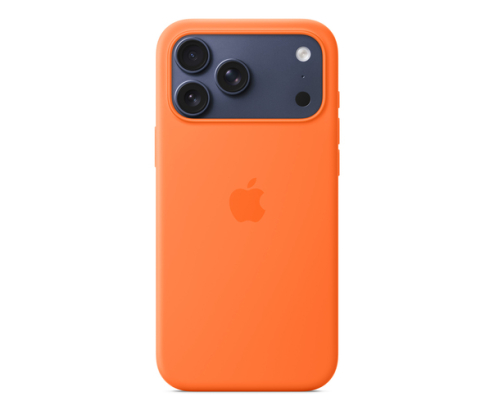 Apple MGFL4ZM/A funda para teléfono móvil 17,5 cm (6.9
