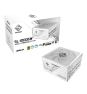 Asrock SL-1000GW Steel Legend unidad de fuente de alimentación 1000 W 20+4 pin ATX ATX Blanco