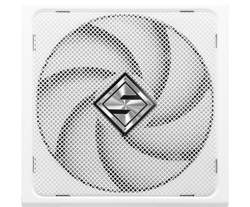 Asrock SL-1000GW Steel Legend unidad de fuente de alimentación 1000 W 20+4 pin ATX ATX Blanco