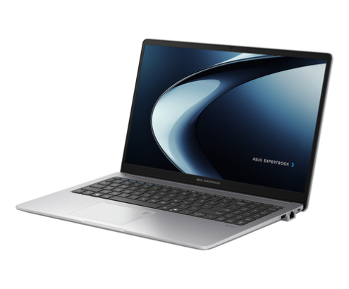 ASUS ExpertBook P1 PM1503CDA-S70542 - Ordenador Portátil 15.6