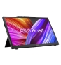 ASUS ProArt PA169CDV pantalla para PC 39,6 cm (15.6