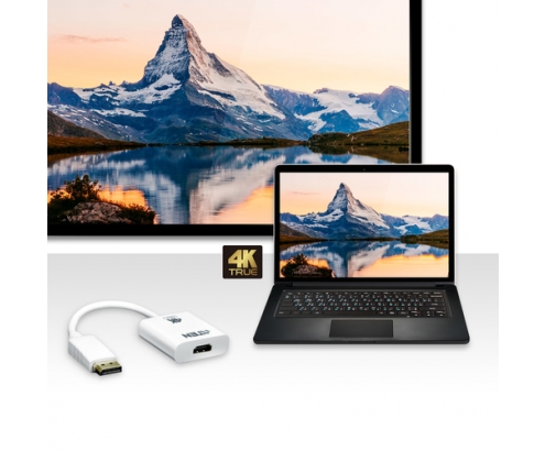 ATEN Adaptador activo de DisplayPort a HDMI True 4K