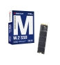 Biostar M760 256 GB M.2 PCI Express 4.0 NVMe