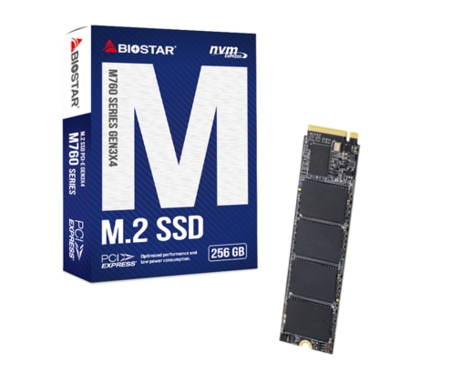 Biostar M760 256 GB M.2 PCI Express 4.0 NVMe