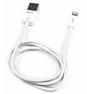 CABLE LIGHTNING M A USB M 1 MT APPROX APPC03V2