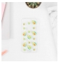 CARCASA MR.WONDERFUL TRANSPARENTE IPHONE SE AGUACATES WOA09743SM