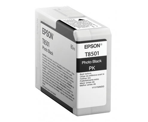 Cartucho Epson Singlepack Photo Black T850100 C13T850100