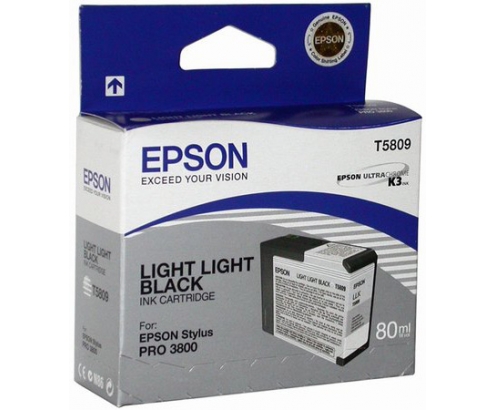 CARTUCHO EPSON T5809 GRIS CLARO C13T580900
