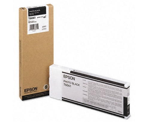 CARTUCHO EPSON T6061 NEGRO FOTO C13T606100