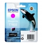 CARTUCHO EPSON T7603 MAGENTA VIVO C13T76034010