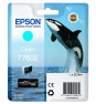 CARTUCHO EPSON T7605 CIAN C13T76024010 