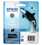 CARTUCHO EPSON T7607 GRIS C13T76074010 