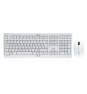 CHERRY DW 3000 teclado RF inalámbrico QWERTZ Alemán Gris