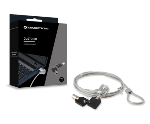 Conceptronic CNBSLOCK15 cable antirrobo Plata 1,5 m