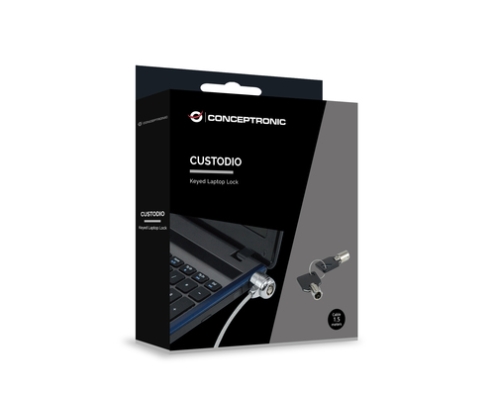 Conceptronic CNBSLOCK15 cable antirrobo Plata 1,5 m