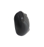 Conceptronic ORAZIO02PT teclado Ratón incluido Oficina RF inalámbrico QWERTY Portugués Negro