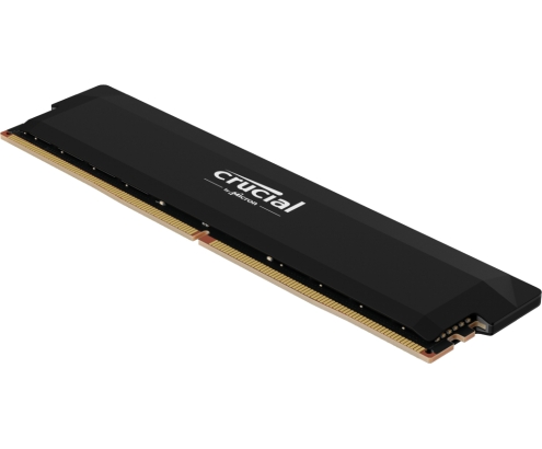 Crucial Pro CP16G60C36U5B módulo de memoria 16 GB DDR5 ECC