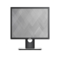 DELL P Series P1917S pantalla para PC 48,3 cm (19