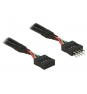DeLOCK 0.1m 2xUSB2.0 10p cable USB 0,1 m USB 2.0 Negro