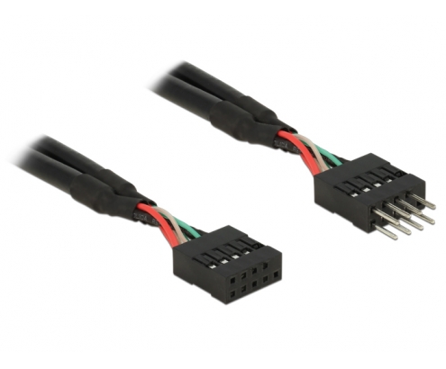 DeLOCK 0.1m 2xUSB2.0 10p cable USB 0,1 m USB 2.0 Negro