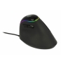 DeLOCK 12597 ratón mano derecha RF inalámbrico 2500 DPI