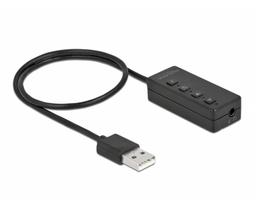 DeLOCK 66731 cable de audio 0,4 m 2 x 3.5mm USB tipo A Negro