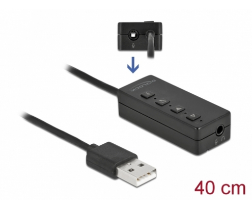 DeLOCK 66731 cable de audio 0,4 m 2 x 3.5mm USB tipo A Negro