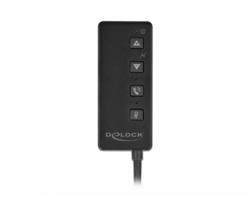 DeLOCK 66731 cable de audio 0,4 m 2 x 3.5mm USB tipo A Negro