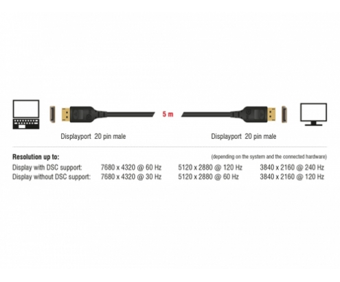 DeLOCK 85660 cable DisplayPort 2 m Negro