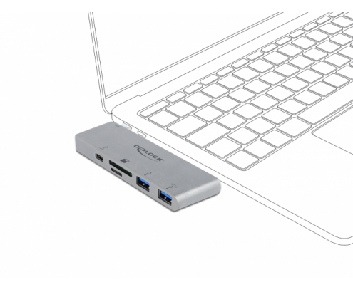 DeLOCK HUB de interfaz USB 3.2 Gen 1 (3.1 Gen 1) Type-C 5000 Mbit/s Gris