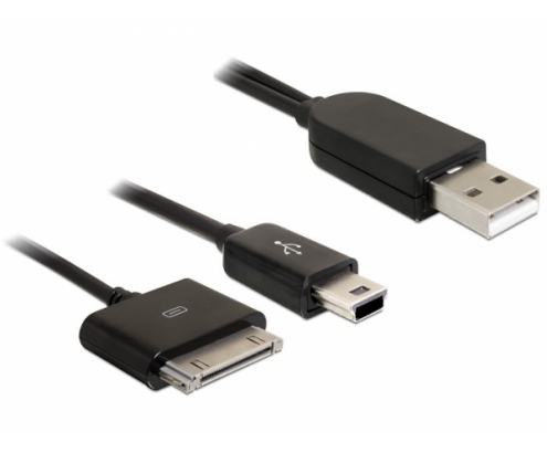 DeLOCK USB 2.0/iPhone + mini USB Negro