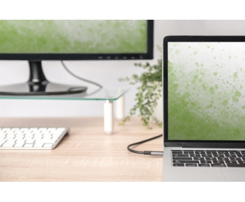 Digitus Cable adaptador de vídeo USB-C - HDMI, UHD 4K / 30 Hz