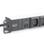 Digitus Regleta de enchufes con perfil de aluminio, 10 tomas, enchufe IEC C14 con cable de 2 m