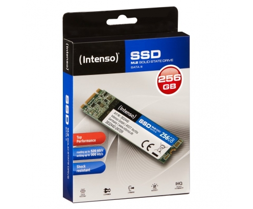 DISCO M.2 SATA SSD INTENSO TOP 256GB 3832440