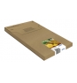 Epson 604XL EasyMail cartucho de tinta 4 pieza(s) Original Alto rendimiento (XL) Negro, Cian, Magenta, Amarillo