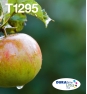 Epson Apple Multipack 4-colours T129 EasyMail