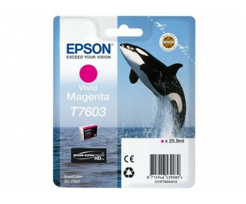 Epson C13T76034N10 cartucho de tinta 1 pieza(s) Original Magenta vivo