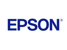 Epson Cleaning Stick S090013 (50 pcs)