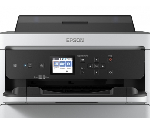 Epson DURABrite Pro
